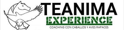 logo teanimaexperience